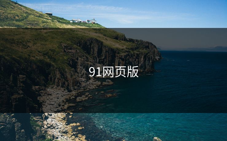 91网页版