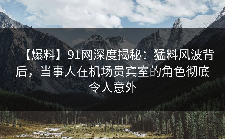 【爆料】91网深度揭秘：猛料风波背后，当事人在机场贵宾室的角色彻底令人意外
