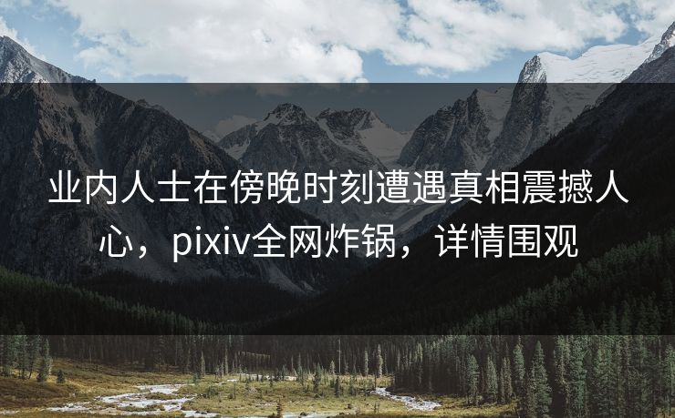 业内人士在傍晚时刻遭遇真相震撼人心，pixiv全网炸锅，详情围观
