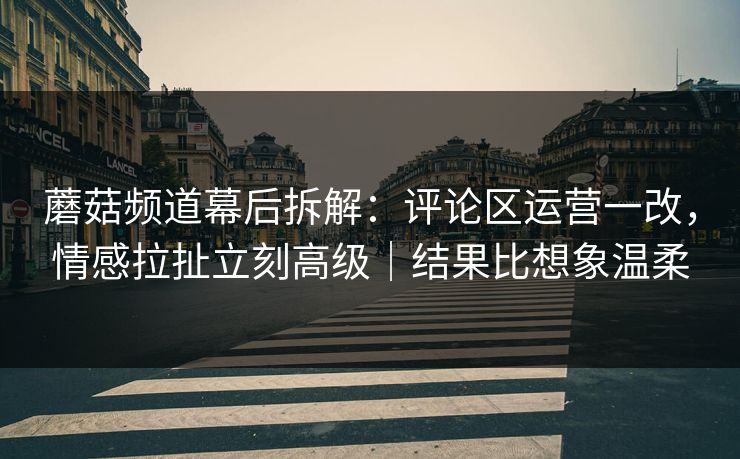 蘑菇频道幕后拆解：评论区运营一改，情感拉扯立刻高级｜结果比想象温柔